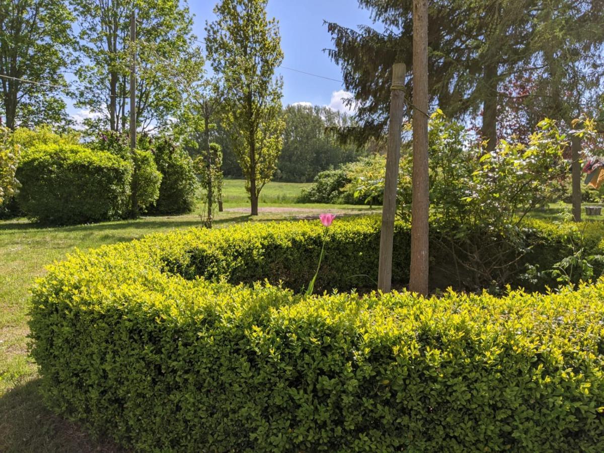 Neuenkirchen Moritzhagen Apartment Bagian luar foto